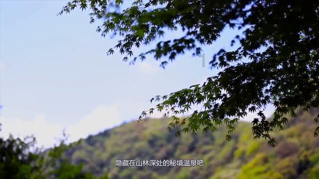9:00至19:00免费！昆明首个观鸥非机动停车场开放，位置在……